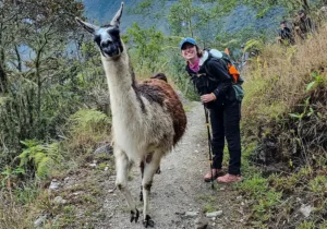 Sustainable Salkantay Trekking