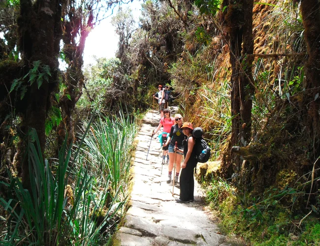 Salkantay Inca Trail Tour